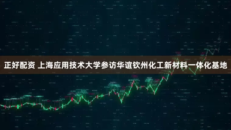 正好配资 上海应用技术大学参访华谊钦州化工新材料一体化基地