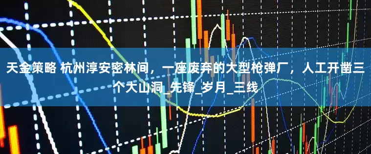 天金策略 杭州淳安密林间，一座废弃的大型枪弹厂，人工开凿三个大山洞_先锋_岁月_三线